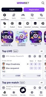 Погружение в мир wowbet ставки как и где делать ставки правильно Погружение в мир wowbet ставки как и где делать ставки правильно